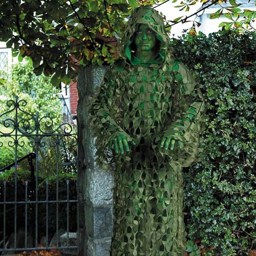 4351_Bush-hiding.jpg
