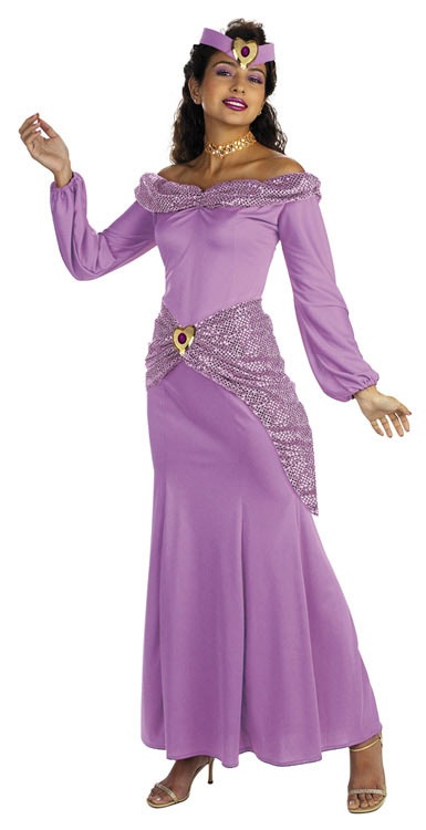 aladdin and princess jasmine costumes. Adult Princess Jasmine costume